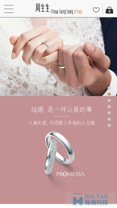 周先生奢侈品響應式網站建設,奢侈品網站建設制作,上海奢侈品網站建設開發