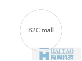 上海網(wǎng)站建設-B2C商城網(wǎng)站建設