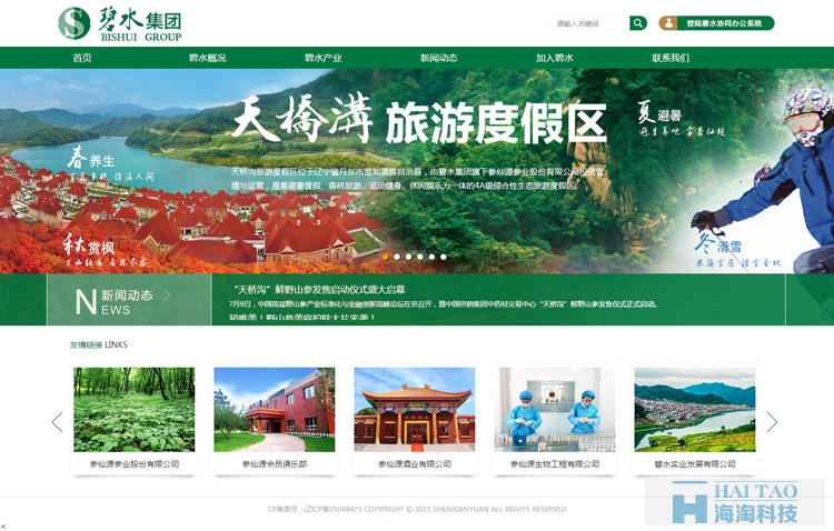 碧水集團旅游網站的建設,上海旅游公司網站建設,旅游行業網站建設