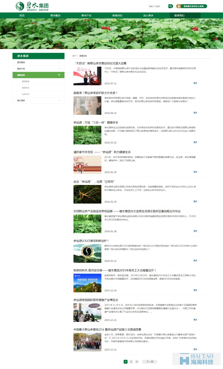 碧水集團旅游網站的建設,上海旅游公司網站建設,旅游行業網站建設