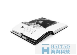 P2P網站建設方案