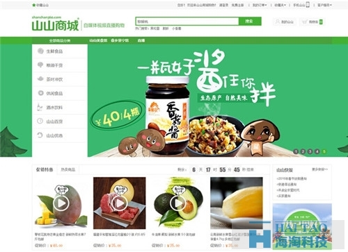 大型網(wǎng)站建設方案（二）