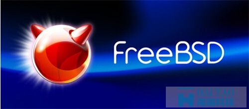 freebsd-門戶網站建設策劃書
