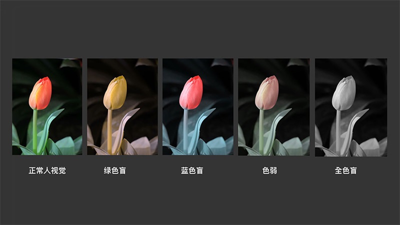 色彩設計的方案-app夜間模式設計