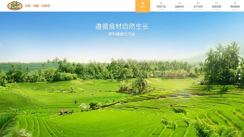 15個(gè)優(yōu)秀的母嬰網(wǎng)站設(shè)計(jì)欣賞