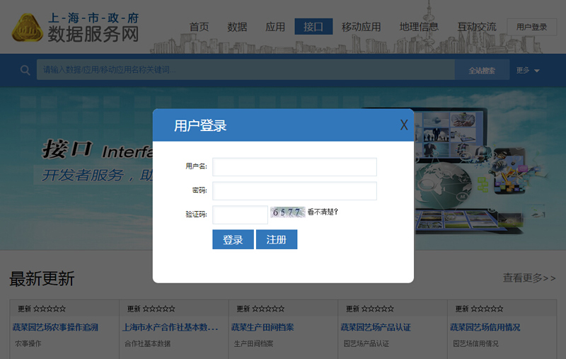 上海數據服務網網頁設計案例
