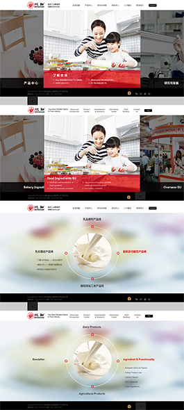 欣融食品-上海欣融實業發展有限公司網站主頁展示