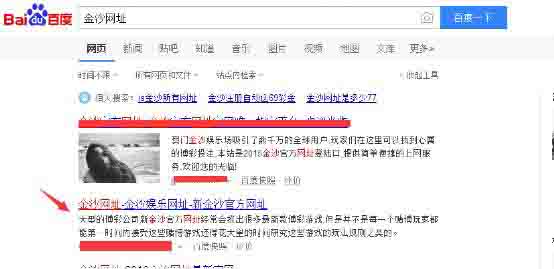 SEO獨家揭秘之灰色行業優化排名 經驗心得 第4張