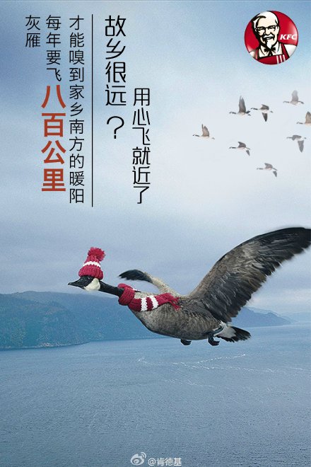 分析了2000張創(chuàng)意海報(bào)，找出讓你快速掌握做海報(bào)的套路