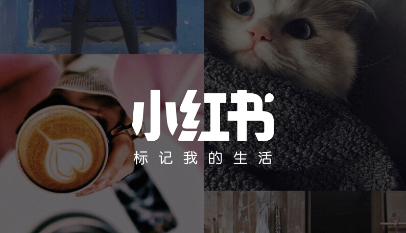 小紅書成功的內容營銷案例分析